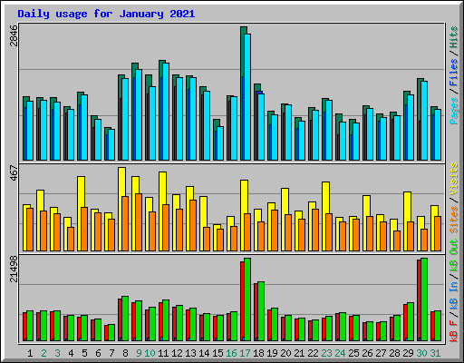 Daily usage for January 2021