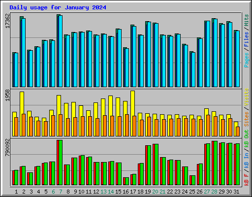 Daily usage for January 2024