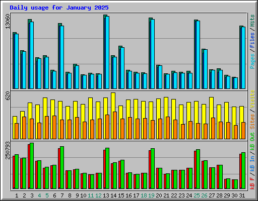 Daily usage for January 2025