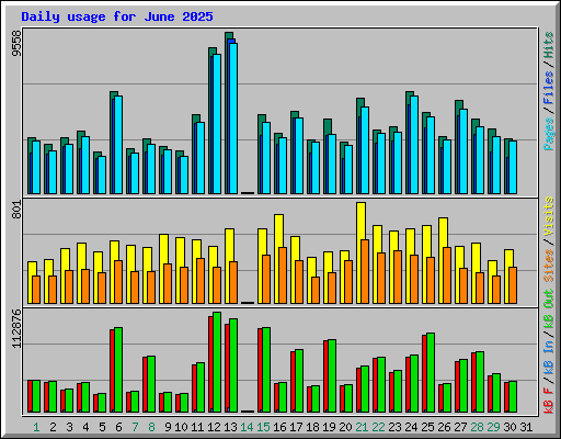 Daily usage for June 2025