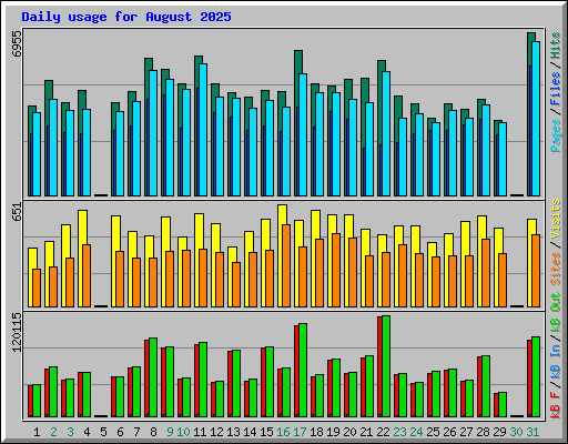 Daily usage for August 2025