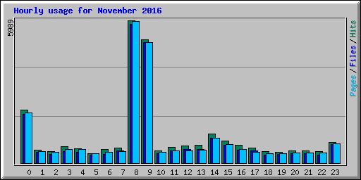 Hourly usage for November 2016