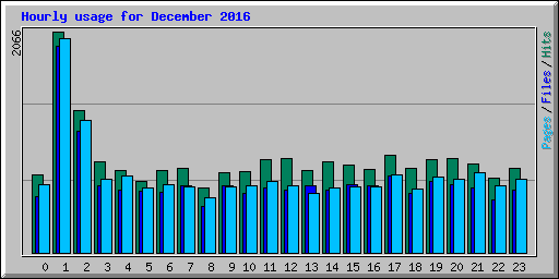 Hourly usage for December 2016