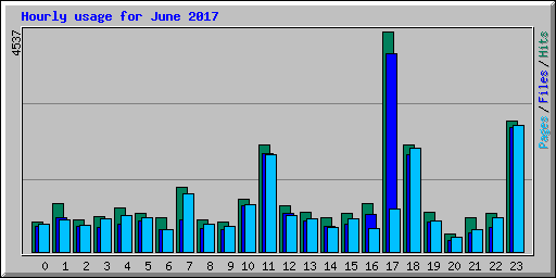 Hourly usage for June 2017