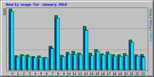 Hourly usage for January 2018