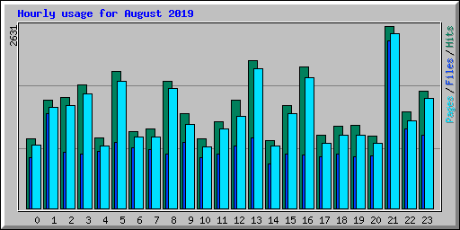 Hourly usage for August 2019
