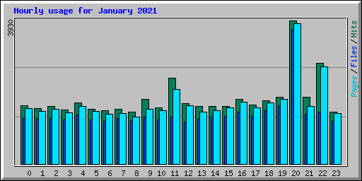 Hourly usage for January 2021