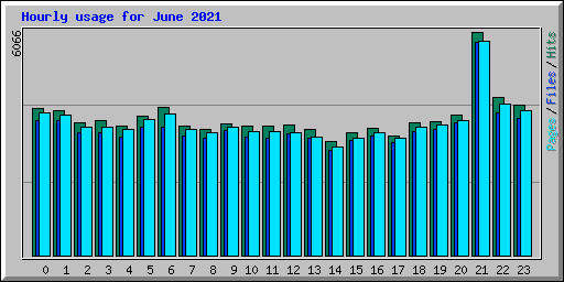 Hourly usage for June 2021