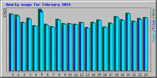 Hourly usage for February 2024