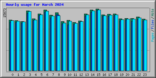 Hourly usage for March 2024