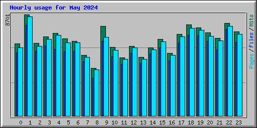 Hourly usage for May 2024