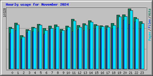 Hourly usage for November 2024