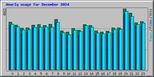 Hourly usage for December 2024