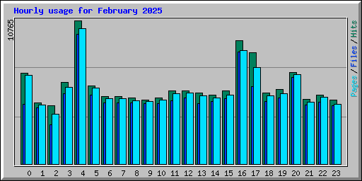 Hourly usage for February 2025