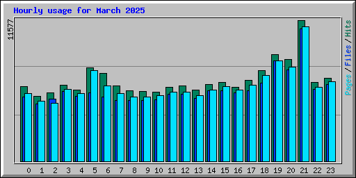 Hourly usage for March 2025