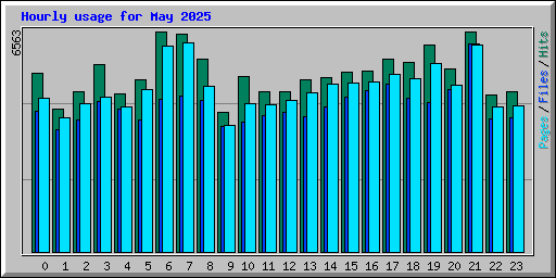 Hourly usage for May 2025
