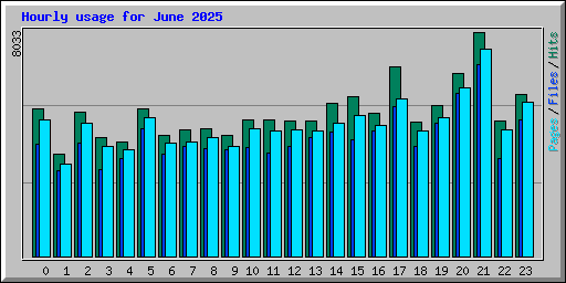 Hourly usage for June 2025