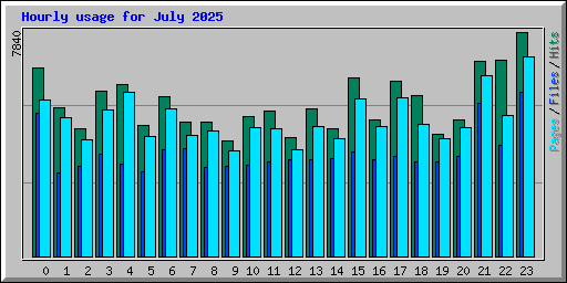 Hourly usage for July 2025