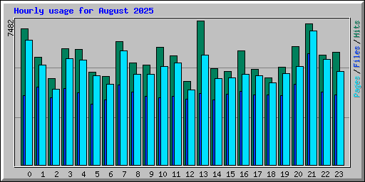 Hourly usage for August 2025