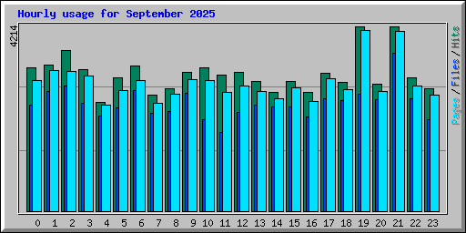 Hourly usage for September 2025
