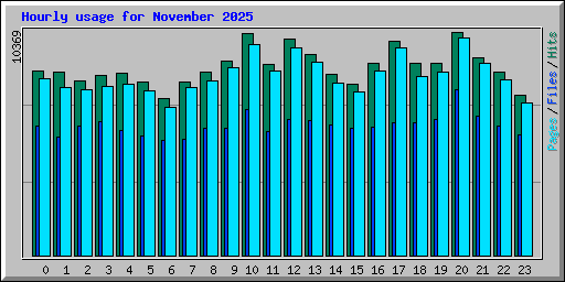 Hourly usage for November 2025